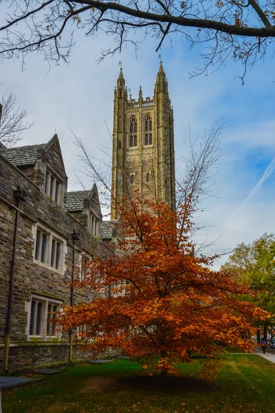 Princeton Eua Novenber 2019 Visão Eneral Prédio Holder Hall Fachada — Fotografia de Stock