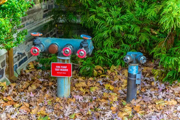 Princeton Usa November 2019 Blue Fire Hydrant Princeton University New — Stock Photo, Image