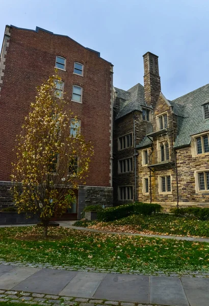 Princeton Usa Novembre 2019 Ivy League College Building Princeton University — Foto Stock