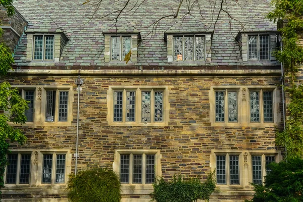 Princeton Usa 2019年11月12日 普林斯顿大学的Windows University Building Architecture Design Elements Walls — 图库照片