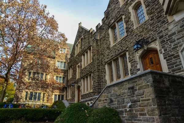 Princeton États Unis Novembre 2019 Princeton University Est Une Université — Photo