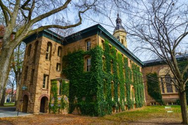 PRINCETON, NJ USA - NOVEMBER 12, 2019: sürünen bitkiler, Princeton Üniversitesi 'nin eğitim binalarının duvarlarında sarmaşık. Peyzaj tasarımı yapan bitkiler. Princeton, NJ