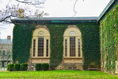 PRINCETON, NJ USA - NOVEMBER 12, 2019: sürünen bitkiler, Princeton Üniversitesi 'nin eğitim binalarının duvarlarında sarmaşık. Peyzaj tasarımı yapan bitkiler. Princeton, NJ