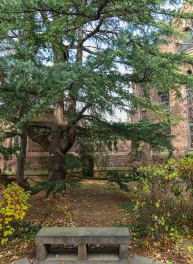 PRINCETON, NJ USA - 12 Kasım 2019: Ivy League College Building, Princeton Üniversitesi, NJ USA