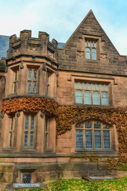 PRINCETON, NJ USA - 12 Kasım 2019: Princeton Üniversitesi kampüsü, New Jersey, ABD