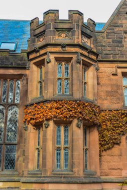 PRINCETON, NJ USA - 12 Kasım 2019: Princeton Üniversitesi kampüsü, New Jersey, ABD