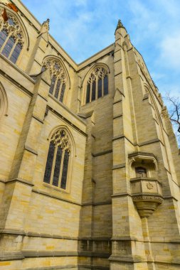 PRINCETON, NJ USA - NOVEMBER 12, 2019: Princeton Üniversitesi, NJ