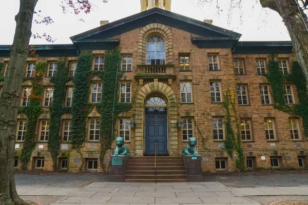 Princeton Eua Novembro 2019 Estátuas Tigre Gêmeo Entrada Nassau Hall — Fotografia de Stock