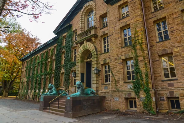 美国新泽西州普林斯顿 2019年11月12日 位于新泽西州普林斯顿普林斯顿大学校区拿骚厅入口处的两只老虎雕像 — 图库照片