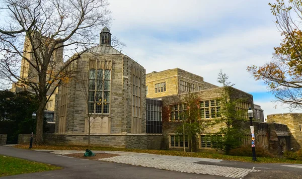 Princeton Verenigde Staten November 2019 Princeton University Een Private Ivy — Stockfoto