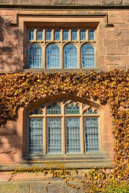 PRINCETON, NJ USA - 12 Kasım 2019: eğitim binasının pencere ve unsurları. Princeton Üniversitesi, Princeton, New Jersey ABD