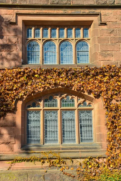 Princeton Usa Noviembre 2019 Ventanas Elementos Arquitectura Edificio Educativo Universidad — Foto de Stock