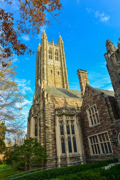 Princeton Usa Noviembre 2019 Princeton University Una Universidad Privada Ivy —  Fotos de Stock