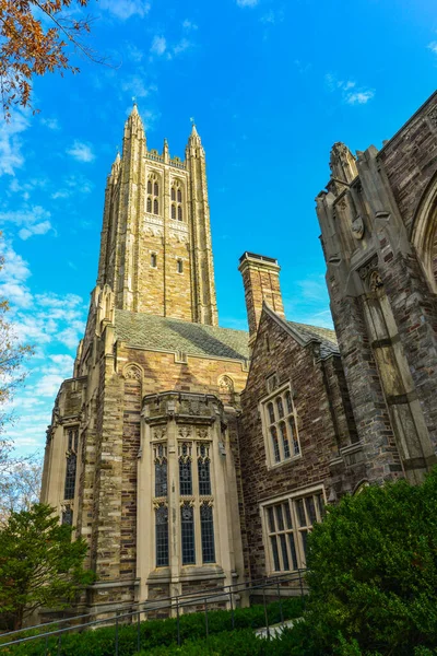 Princeton Usa Novembre 2019 Princeton University Università Privata Del New — Foto Stock