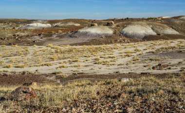Taşlaşmış ağaç gövdeleri, çok renkli mineral kristalleri. Taşlaşmış Orman Ulusal Parkı, Arizona