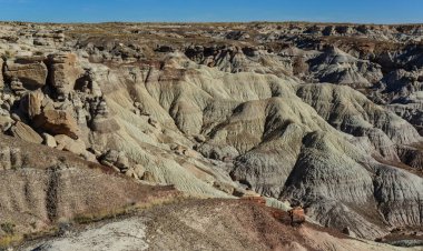 Güneşli bir günde Boyalı Çöl. Çeşitli tortu kayaları ve kil suyla yıkanmış. Taşlaşmış Orman Ulusal Parkı, ABD, Arizona