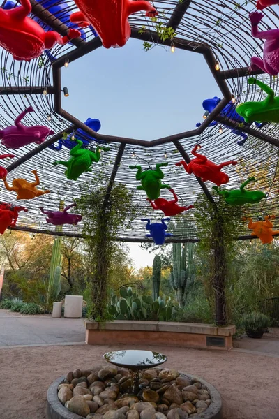 2019年11月17日 最初在亚利桑那州凤凰城植物园入口处的喷泉上方安装塑料青蛙 — 图库照片