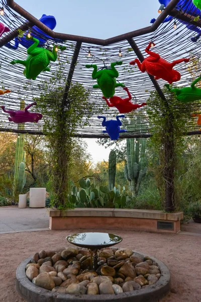Eua Phenix Arizona Novembro 2019 Instalação Original Com Rãs Plástico — Fotografia de Stock