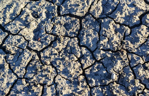 Close Dry Cracked Clay Cracks Ground Petrified Forest National Park — Stock Photo, Image