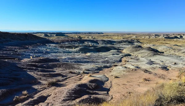 Landscape Panorama Erosive Multi Colored Clay Petrified Forest National Park — Stock Photo, Image