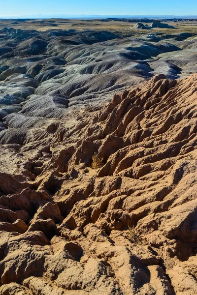 Landskap Panorama Erosiv Flerfärgad Lera Petrified Forest National Park Arizona — Stockfoto