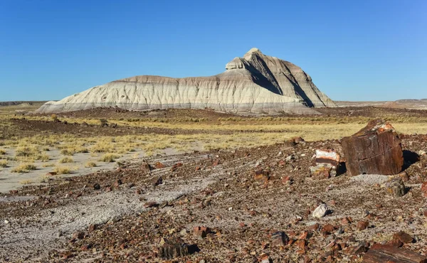 Trunks Petrified Trees Multi Colored Crystals Minerals Petrified Forest National — Stock Photo, Image