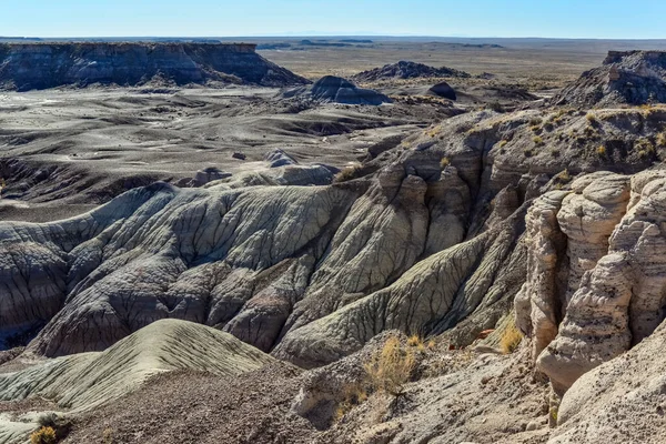 Painted Desert Sunny Day Diverse Sedimentary Rocks Clay Washed Out — Stock Photo, Image