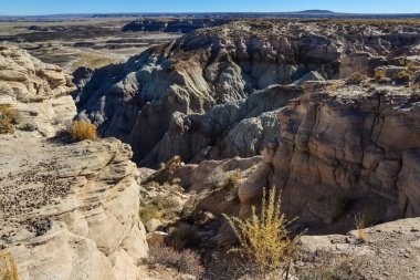 Güneşli bir günde Boyalı Çöl. Çeşitli tortu kayaları ve kil suyla yıkanmış. Taşlaşmış Orman Ulusal Parkı, ABD, Arizona
