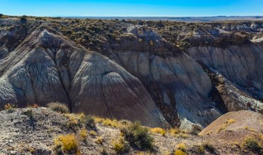 Güneşli bir günde Boyalı Çöl. Çeşitli tortu kayaları ve kil suyla yıkanmış. Taşlaşmış Orman Ulusal Parkı, ABD, Arizona