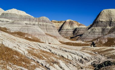 Güneşli bir günde Boyalı Çöl. Çeşitli tortu kayaları ve kil suyla yıkanmış. Taşlaşmış Orman Ulusal Parkı, ABD, Arizona