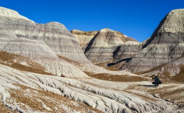 ABD, ARIZONA - 18 Kasım 2019: güneşli bir günde Boyalı Çöl. Çeşitli tortu kayaları ve kil suyla yıkanmış. Taşlaşmış Orman Ulusal Parkı, ABD, Arizona  