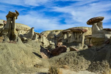 Farmington, New Mexico yakınlarındaki San Juan 'da Ah-Shi-Sle-Pah Yaban Hayatı Çalışma Alanında erozyonun oluşturduğu garip kumtaşı oluşumları.. 