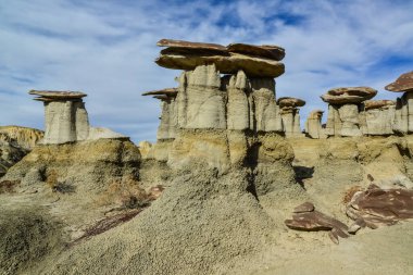 Farmington, New Mexico yakınlarındaki San Juan 'da Ah-Shi-Sle-Pah Yaban Hayatı Çalışma Alanında erozyonun oluşturduğu garip kumtaşı oluşumları.. 