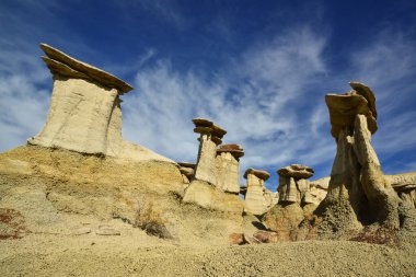 Farmington, New Mexico yakınlarındaki San Juan 'da Ah-Shi-Sle-Pah Yaban Hayatı Çalışma Alanında erozyonun oluşturduğu garip kumtaşı oluşumları.. 