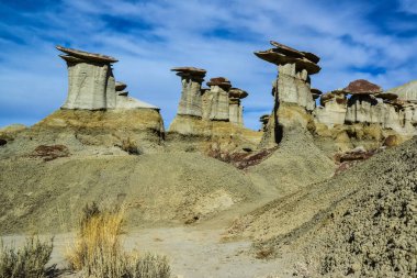 Farmington, New Mexico yakınlarındaki San Juan 'da Ah-Shi-Sle-Pah Yaban Hayatı Çalışma Alanında erozyonun oluşturduğu garip kumtaşı oluşumları.. 