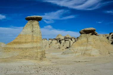 Farmington, New Mexico yakınlarındaki San Juan 'da Ah-Shi-Sle-Pah Yaban Hayatı Çalışma Alanında erozyonun oluşturduğu garip kumtaşı oluşumları.. 