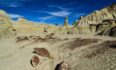 Farmington, New Mexico yakınlarındaki San Juan 'da Ah-Shi-Sle-Pah Yaban Hayatı Çalışma Alanında erozyonun oluşturduğu garip kumtaşı oluşumları.. 