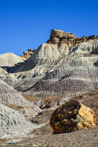 Güneşli Bir Günde Boyalı Çöl Çeşitli Tortu Kayaları Kil Suyla — Stok fotoğraf