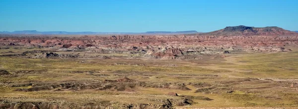 Arizona Bergachtige Landschap Versteend Bos National Wilderness Area Geschilderde Woestijn — Stockfoto