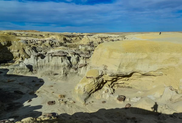 Farmington New Mexico Yakınlarındaki San Juan Shi Sle Pah Yaban — Stok fotoğraf