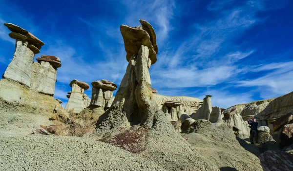 Bizarres Formations Grès Créées Par Érosion Shi Sle Pah Wilderness — Photo