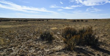 Farmington, New Mexico yakınlarındaki San Juan İlçesi 'nde Ah-Shi-Sle-Pah Vahşi Doğa Çalışmaları Bölgesi' ndeki kuru bitkilerle çöl manzarası.. 