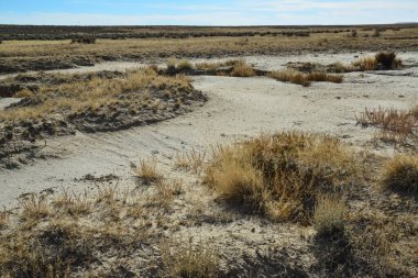 Farmington, New Mexico yakınlarındaki San Juan İlçesi 'nde Ah-Shi-Sle-Pah Vahşi Doğa Çalışmaları Bölgesi' ndeki kuru bitkilerle çöl manzarası.. 