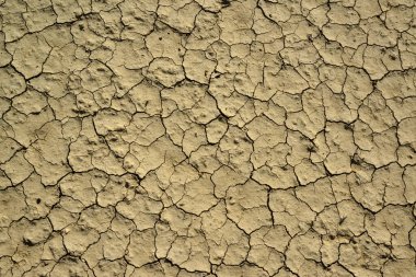 Amerika 'nın New Mexico çölünde kurumuş bir nehir yatağında yüzeyde kırmızı kil ve beyaz tuz kırılması.