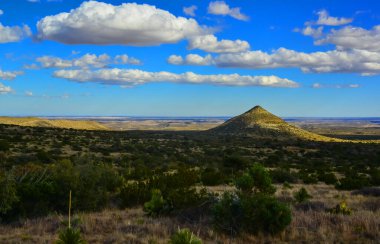 Kuru ağaç, kaktüs ve diğer çöl bitkileri Guadalupe Ulusal Parkı, New Mexico 'da koni şeklinde bir arazide.