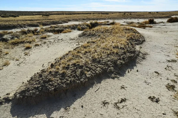 Farmington, New Mexico yakınlarındaki San Juan İlçesi 'nde Ah-Shi-Sle-Pah Vahşi Doğa Çalışmaları Bölgesi' ndeki kuru bitkilerle çöl manzarası.. 