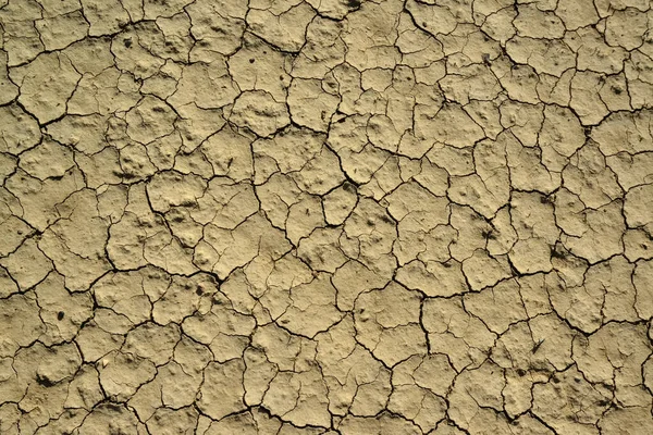 アメリカ ニューメキシコ州の砂漠の乾燥河床の表面に赤い粘土と白い塩を砕いた — ストック写真