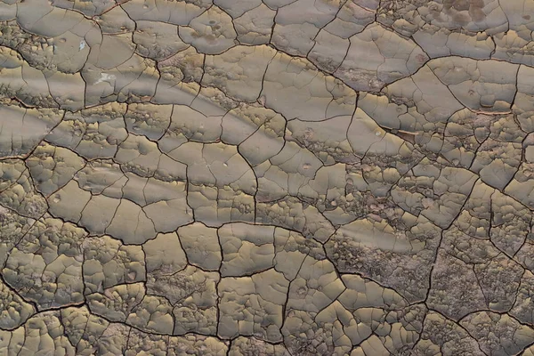 Arcilla Roja Agrietada Sal Blanca Superficie Lecho Río Seco Desierto — Foto de Stock