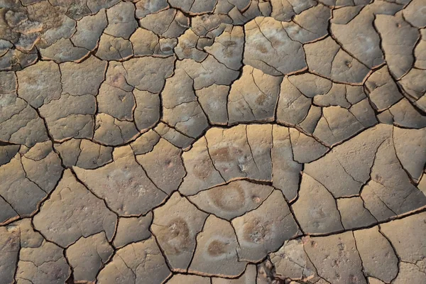 Cracked Red Clay White Salt Surface Dried Riverbed Desert New — Stock Photo, Image