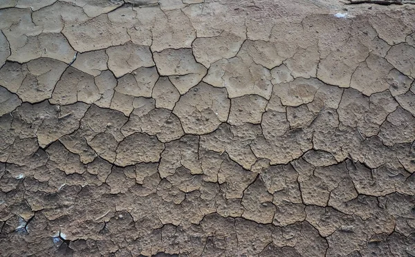 美国新墨西哥州沙漠中干涸的河床表面的碎红土和白盐 — 图库照片
